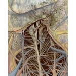 Labyrinth, 2009 (24"x36")
Water color, acrylic and pencil