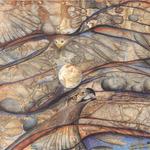 Spirit messengers, 2007 (39"x24")
Water color and pencil
