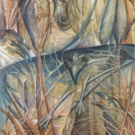Council of Crows, 2012 (24"x30")
Water color, acrylic and pencil